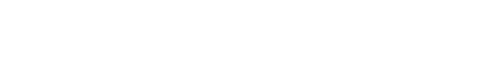 Ativo 17